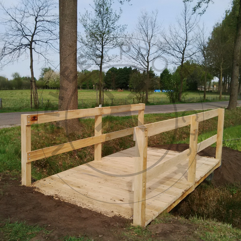 Landschappelijke wandelbrug 