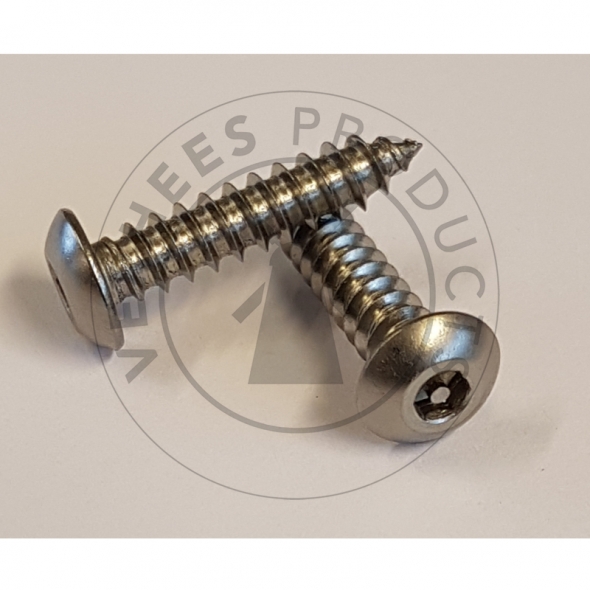 Veiligheidsschroeven Bolkop met binnenzeskant en pin 4,2×19 mm Roestvaststaal (RVS) (p/100st.) 