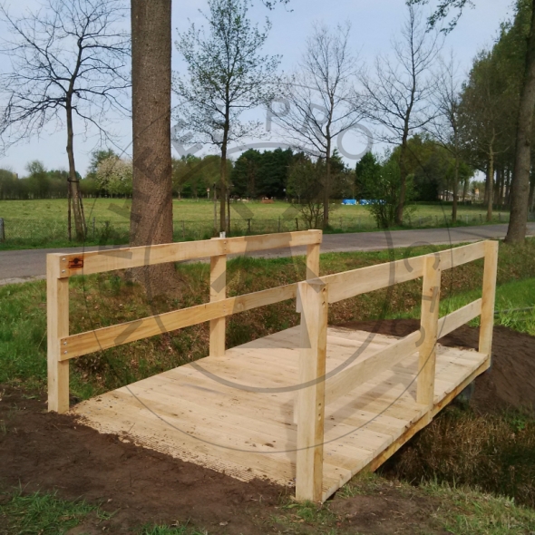 Landschappelijke wandelbrug 